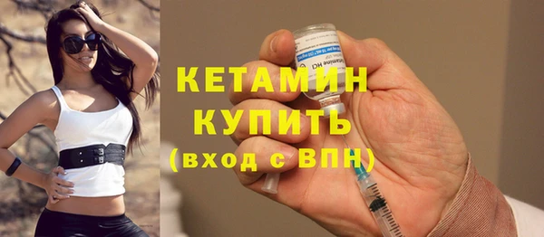 индика Гусев
